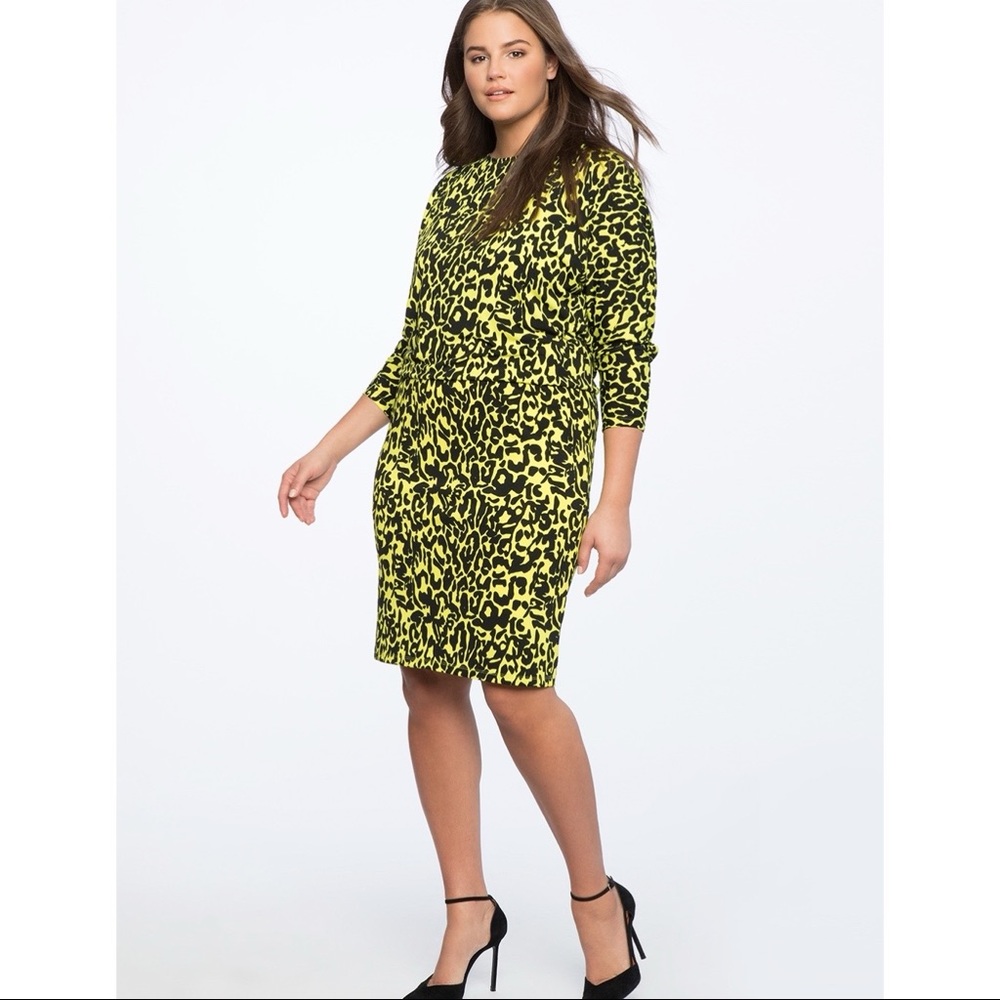 NWT Eloquii Dropped Waist Dolman Sleeve Lime Cheetah Dress Size 22